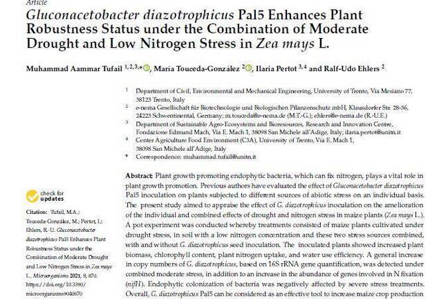 Gluconacetobacter diazotrophicus Pal5 Enhances Plant Robustness Status under the Combination of Moderate Drought and Low Nitrogen Stress in Zea mays L.