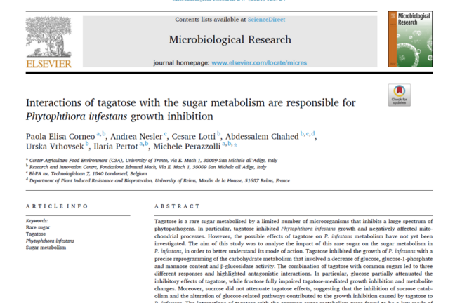 Interactions of tagatose with the sugar metabolism are responsible for Phytophthora infestans growth inhibition