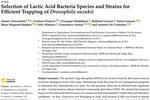 Selection of Lactic Acid Bacteria Species and Strains for Efficient Trapping of Drosophila suzukii