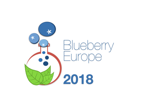 BlueberryEuropeLogo_big
